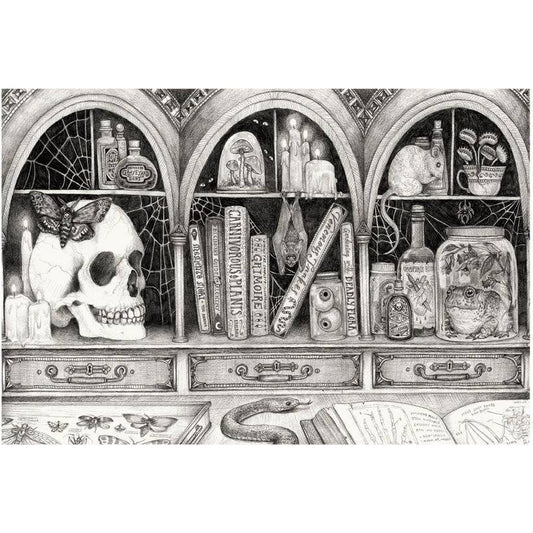 Hester & Cook - Placemat - Cabinet of Curiosities - Findlay Rowe Designs