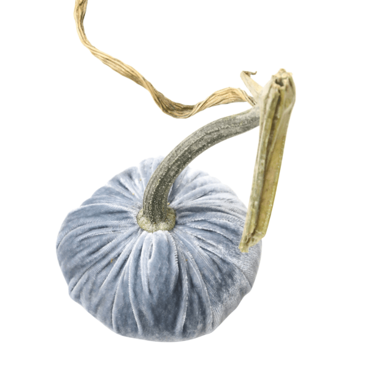 HOT SKWASH - LAKE PUMPKIN - Findlay Rowe Designs