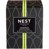 NEST - Grapefruit Classic Candle - Classic 8.1 oz Candle - Findlay Rowe Designs