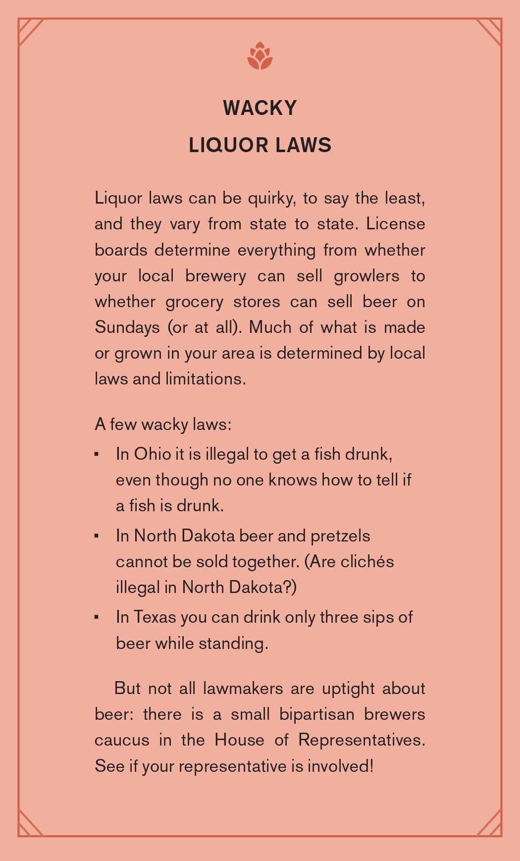 Stuff Every Beer Snob Should Know - Findlay Rowe Designs