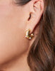 Spartina - Earrings - Chubby Hoop - Findlay Rowe Designs