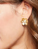 Spartina - Earrings - Garden Flower Stud Earrings Gold - Findlay Rowe Designs