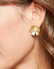 Spartina - Garden Flower Stud Earrings Gold - Findlay Rowe Designs