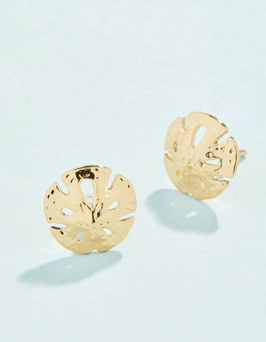 Spartina - Earrings - Sand Dollar Stud - Findlay Rowe Designs