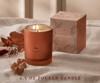 THYMES - Pumpkin Laurel 6.5oz Boxed Candle - Findlay Rowe Designs