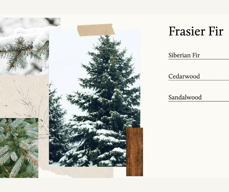 Frasier Fir 3-Wick Candle