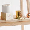 Frasier Fir Ceramic Petite Candle - Findlay Rowe Designs