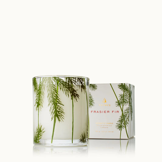 Thymes Frasier Fir Gilded Collection Petite Ceramic Candle | James Anthony  Collection